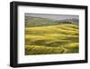 Italy, Tuscany, Val d'Orcia-John Ford-Framed Photographic Print