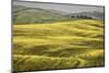 Italy, Tuscany, Val d'Orcia-John Ford-Mounted Photographic Print