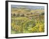 Italy, Tuscany, Val Dorcia. Colorful Vineyards and Olive Trees in Fall-Julie Eggers-Framed Photographic Print