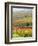 Italy, Tuscany, Val Dorcia. Colorful Vineyards and Olive Trees in Fall-Julie Eggers-Framed Photographic Print