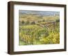 Italy, Tuscany, Val Dorcia. Colorful Vineyards and Olive Trees in Fall-Julie Eggers-Framed Photographic Print