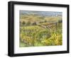 Italy, Tuscany, Val Dorcia. Colorful Vineyards and Olive Trees in Fall-Julie Eggers-Framed Photographic Print