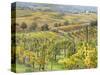 Italy, Tuscany, Val Dorcia. Colorful Vineyards and Olive Trees in Fall-Julie Eggers-Stretched Canvas