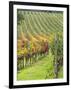 Italy, Tuscany, Val Dorcia. Colorful Vineyards in Autumn-Julie Eggers-Framed Photographic Print