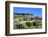 Italy, Tuscany. Villa on hillside surrounded with olive trees and vineyard.-Julie Eggers-Framed Photographic Print