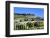 Italy, Tuscany. Villa on hillside surrounded with olive trees and vineyard.-Julie Eggers-Framed Photographic Print