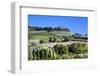 Italy, Tuscany. Villa on hillside surrounded with olive trees and vineyard.-Julie Eggers-Framed Photographic Print