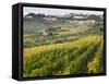 Italy, Tuscany. Vines and Olive Groves of a Rural Village of Panzano-Julie Eggers-Framed Stretched Canvas