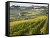 Italy, Tuscany. Vines and Olive Groves of a Rural Village of Panzano-Julie Eggers-Framed Stretched Canvas