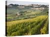 Italy, Tuscany. Vines and Olive Groves of a Rural Village of Panzano-Julie Eggers-Stretched Canvas
