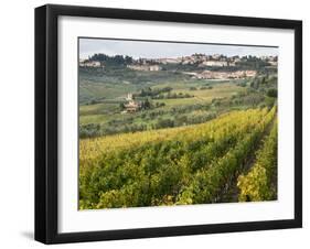 Italy, Tuscany. Vines and Olive Groves of a Rural Village of Panzano-Julie Eggers-Framed Premium Photographic Print