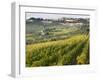 Italy, Tuscany. Vines and Olive Groves of a Rural Village of Panzano-Julie Eggers-Framed Premium Photographic Print