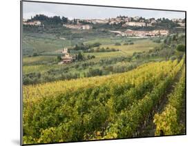 Italy, Tuscany. Vines and Olive Groves of a Rural Village of Panzano-Julie Eggers-Mounted Premium Photographic Print