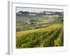 Italy, Tuscany. Vines and Olive Groves of a Rural Village of Panzano-Julie Eggers-Framed Photographic Print