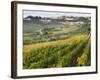 Italy, Tuscany. Vines and Olive Groves of a Rural Village of Panzano-Julie Eggers-Framed Photographic Print