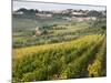 Italy, Tuscany. Vines and Olive Groves of a Rural Village of Panzano-Julie Eggers-Mounted Photographic Print