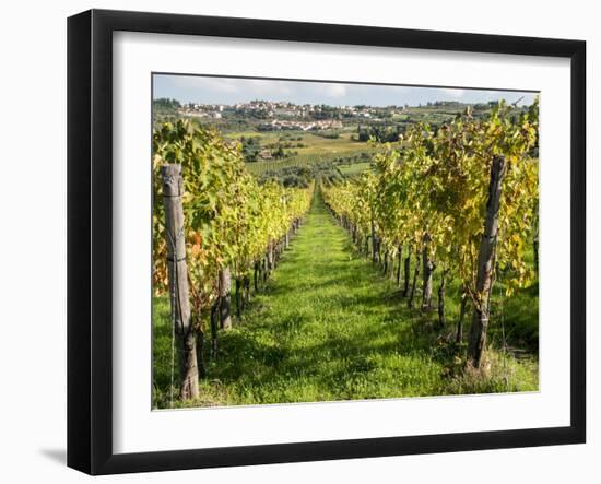 Italy, Tuscany. Vines and Olive Groves of a Rural Village of Panzano-Julie Eggers-Framed Premium Photographic Print