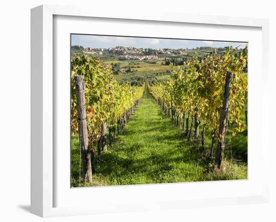 Italy, Tuscany. Vines and Olive Groves of a Rural Village of Panzano-Julie Eggers-Framed Premium Photographic Print