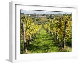 Italy, Tuscany. Vines and Olive Groves of a Rural Village of Panzano-Julie Eggers-Framed Premium Photographic Print