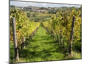 Italy, Tuscany. Vines and Olive Groves of a Rural Village of Panzano-Julie Eggers-Mounted Premium Photographic Print