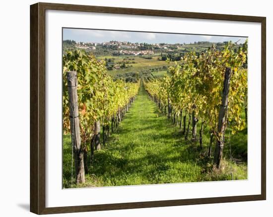 Italy, Tuscany. Vines and Olive Groves of a Rural Village of Panzano-Julie Eggers-Framed Photographic Print