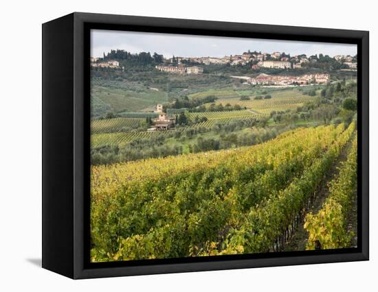 Italy, Tuscany. Vines and Olive Groves of a Rural Village of Panzano-Julie Eggers-Framed Stretched Canvas