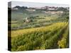 Italy, Tuscany. Vines and Olive Groves of a Rural Village of Panzano-Julie Eggers-Stretched Canvas