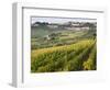 Italy, Tuscany. Vines and Olive Groves of a Rural Village of Panzano-Julie Eggers-Framed Photographic Print