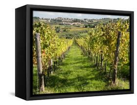 Italy, Tuscany. Vines and Olive Groves of a Rural Village of Panzano-Julie Eggers-Framed Stretched Canvas