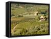 Italy, Tuscany. Vines and Olive Groves of a Rural Village-Julie Eggers-Framed Stretched Canvas