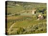 Italy, Tuscany. Vines and Olive Groves of a Rural Village-Julie Eggers-Stretched Canvas