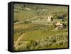 Italy, Tuscany. Vines and Olive Groves of a Rural Village-Julie Eggers-Framed Stretched Canvas