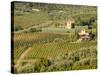Italy, Tuscany. Vines and Olive Groves of a Rural Village-Julie Eggers-Stretched Canvas