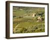 Italy, Tuscany. Vines and Olive Groves of a Rural Village-Julie Eggers-Framed Premium Photographic Print