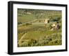 Italy, Tuscany. Vines and Olive Groves of a Rural Village-Julie Eggers-Framed Premium Photographic Print