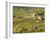 Italy, Tuscany. Vines and Olive Groves of a Rural Village-Julie Eggers-Framed Premium Photographic Print