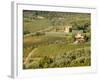 Italy, Tuscany. Vines and Olive Groves of a Rural Village-Julie Eggers-Framed Photographic Print