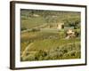 Italy, Tuscany. Vines and Olive Groves of a Rural Village-Julie Eggers-Framed Photographic Print