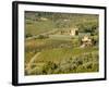 Italy, Tuscany. Vines and Olive Groves of a Rural Village-Julie Eggers-Framed Photographic Print