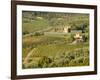 Italy, Tuscany. Vines and Olive Groves of a Rural Village-Julie Eggers-Framed Photographic Print