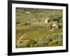 Italy, Tuscany. Vines and Olive Groves of a Rural Village-Julie Eggers-Framed Photographic Print