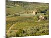 Italy, Tuscany. Vines and Olive Groves of a Rural Village-Julie Eggers-Mounted Photographic Print