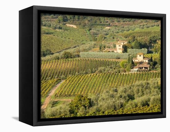 Italy, Tuscany. Vines and Olive Groves of a Rural Village-Julie Eggers-Framed Stretched Canvas
