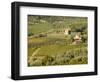 Italy, Tuscany. Vines and Olive Groves of a Rural Village-Julie Eggers-Framed Photographic Print