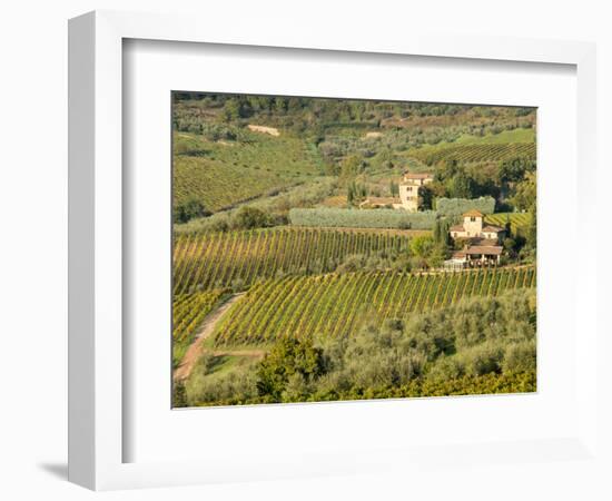 Italy, Tuscany. Vines and Olive Groves of a Rural Village-Julie Eggers-Framed Photographic Print