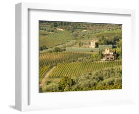 Italy, Tuscany. Vines and Olive Groves of a Rural Village-Julie Eggers-Framed Photographic Print