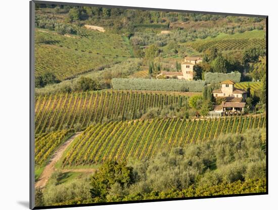 Italy, Tuscany. Vines and Olive Groves of a Rural Village-Julie Eggers-Mounted Photographic Print