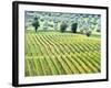 Italy, Tuscany. Vineyard and Olive Grove in the Chianti Region-Julie Eggers-Framed Photographic Print