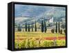 Italy, Tuscany. Vineyard and Olive Trees with the Abbey of Sant Antimo-Julie Eggers-Framed Stretched Canvas