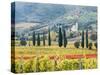 Italy, Tuscany. Vineyard and Olive Trees with the Abbey of Sant Antimo-Julie Eggers-Stretched Canvas